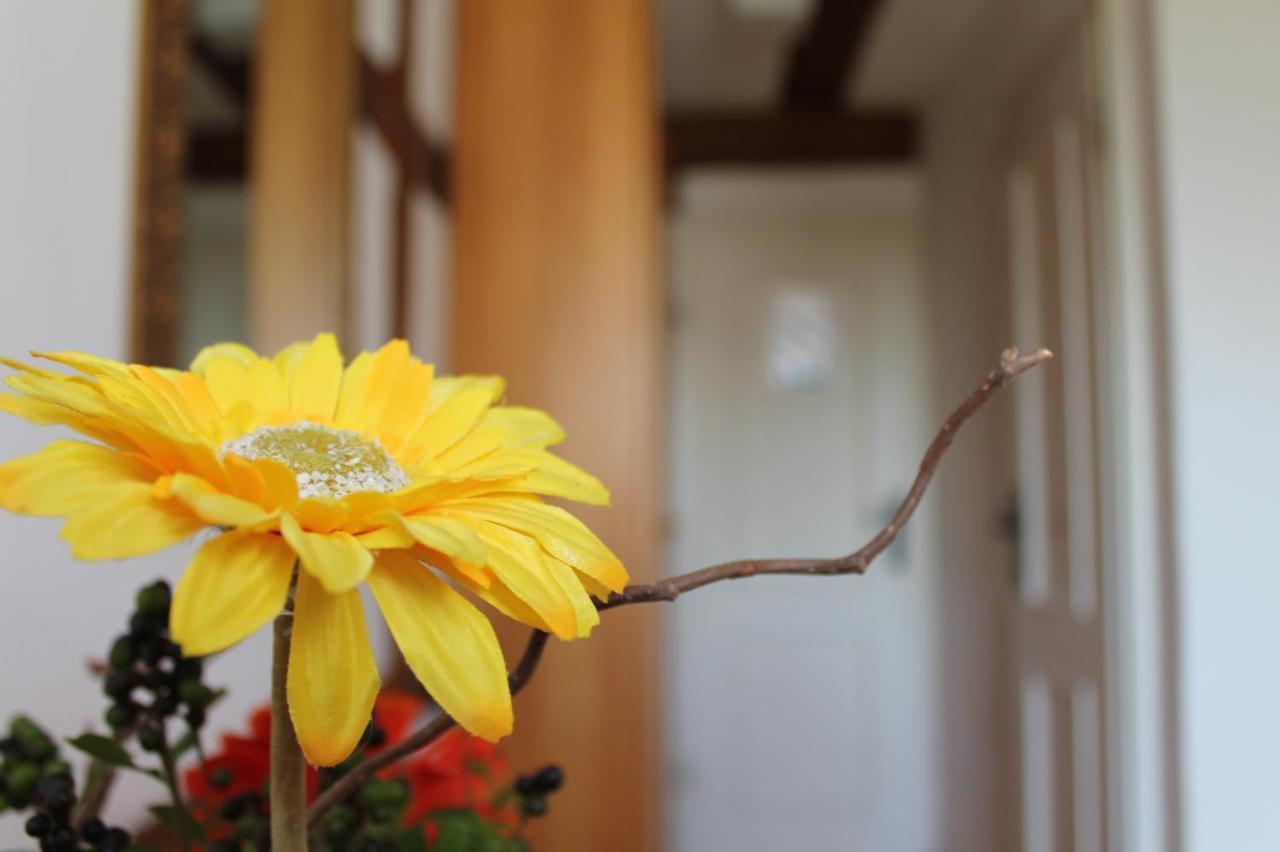 Pension Pastoriushaus Bad Windsheim Dış mekan fotoğraf